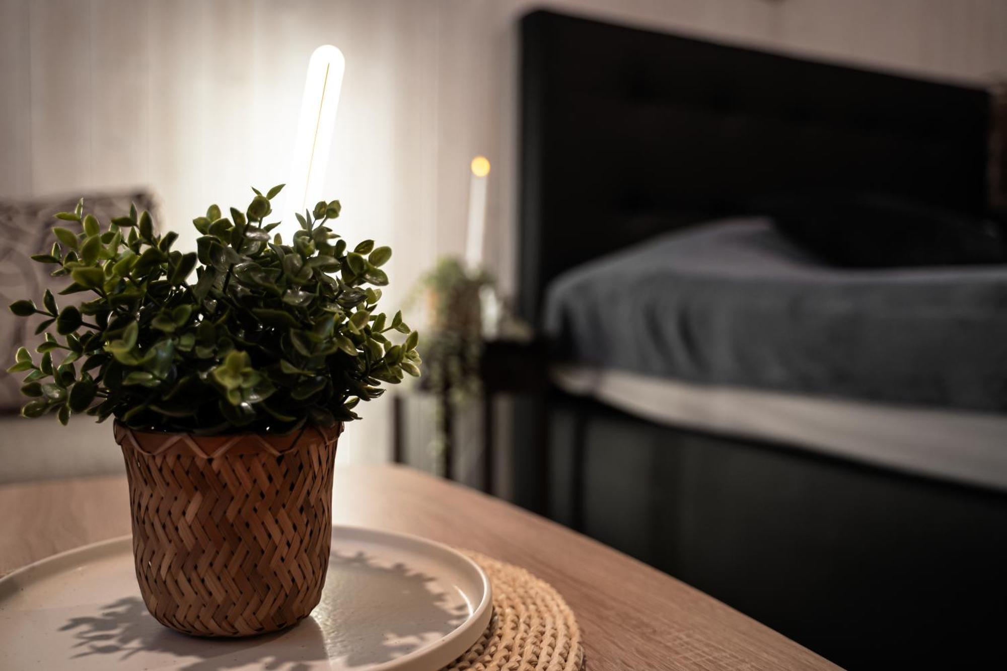 Aare Accommodation Valga Dış mekan fotoğraf